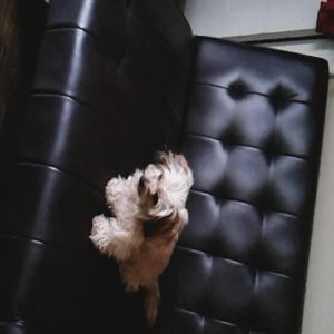 Meet your Posher, Jonathan